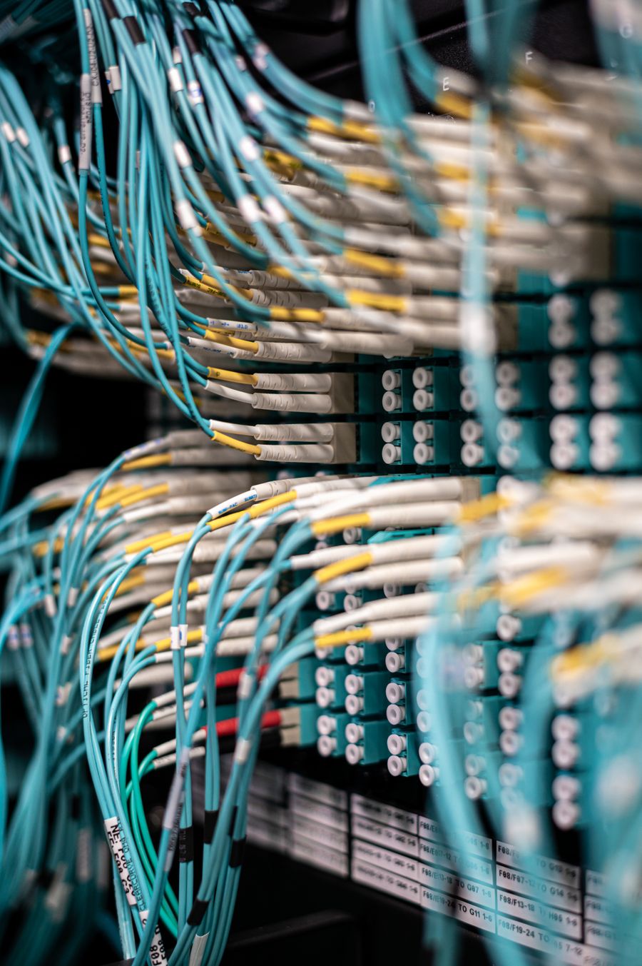 Blue network cables plugged into a patch panel in a data centre